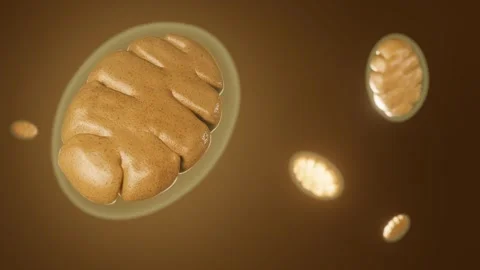 Scattered mitochondria in the black background Stock Footage 252399220