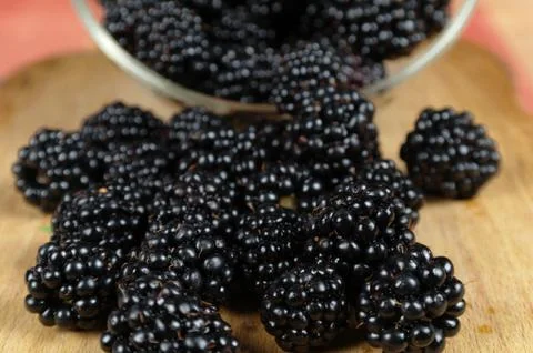 Scattered mulberry Stock Photos