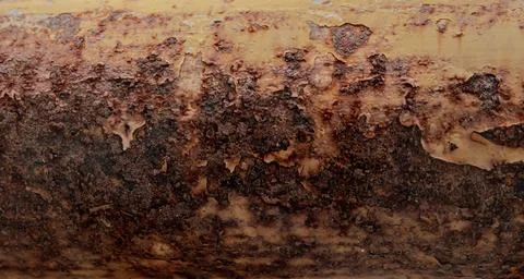 Scattered orange rust dots on metal Stock Photos