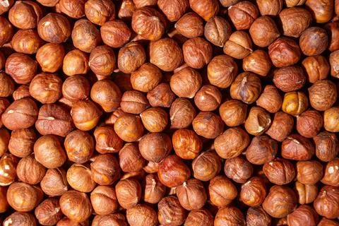 Scattered Peeled Hazelnut. Background from Hazelnuts Stock Photos
