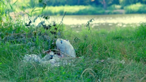 Scattered plastic trash and waste on riverbank grass close up Stock Footage 340463967