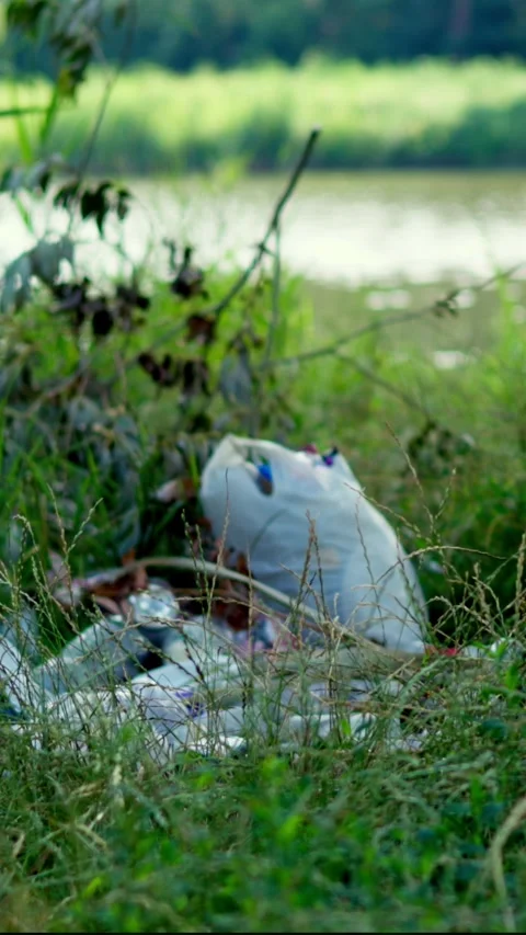 Scattered plastic trash and waste on riverbank grass close up Stock Footage 340577137