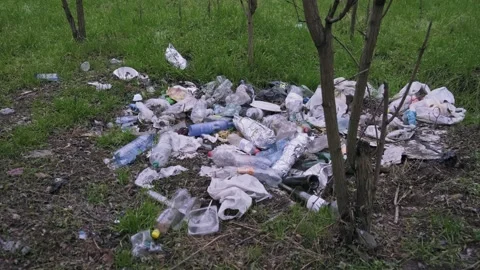 Scattered Plastic Waste and Garbage Polluting Green Forest Floor Stock Footage 323315913