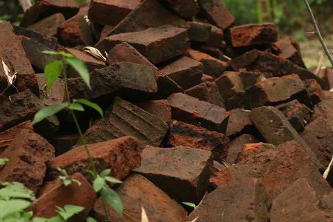 Scattered Red Bricks Stock Photos