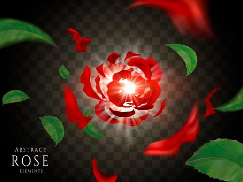 Scattered red rose elements Stock-Illustration