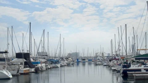 Scattered Sailboats Docked At Port Video stock 157792453