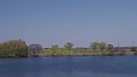 Scattered Spring Trees and Green Field Along Wide River with Urban Horizon Stock Footage 337973524