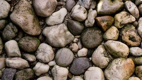 Scattered stone texture. Suitable for background Stock Photos