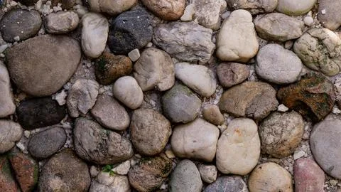 Scattered stone texture. Suitable for background Stock Photos