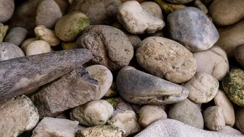 Scattered stone texture. Suitable for background Stock Photos