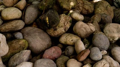 Scattered stone texture. Suitable for background Stock Photos