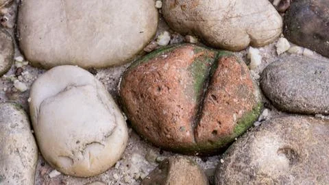 Scattered stone texture. Suitable for background Stock Photos