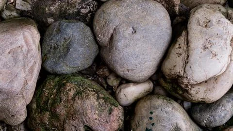 Scattered stone texture. Suitable for background Stock Photos