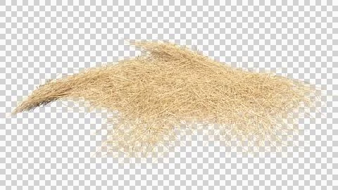 Scattered straw Stock Photos