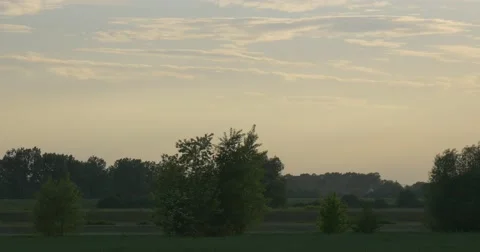 Scattered Trees on The Meadow Stock Footage 50666475