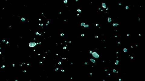 Scattered Underwater Bubble Fragments On Black Background Stock Footage 339301587