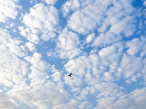Scattered white clouds form a soft pattern across blue sky. Natural light c.. Stock Photos