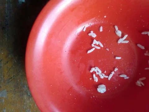 Scattered white rice rests inside a glossy red bowl Stock Photos