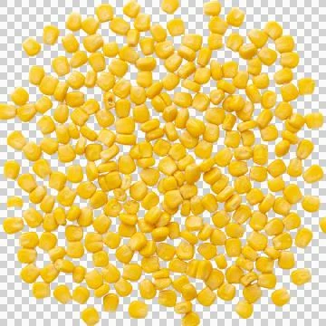 Scattered yellow sweet corn kernels pile top view on transparent background.. Фото