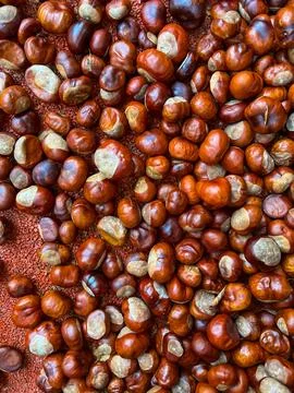 Scattering of chestnuts without shells on an orange background Stock Photos