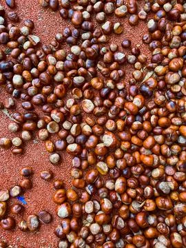 Scattering of chestnuts without shells on an orange background Stock Photos