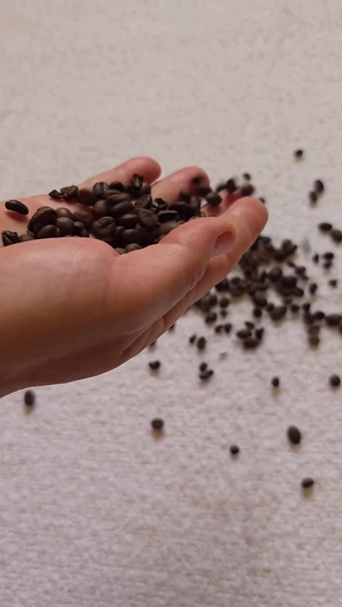 Scattering Coffee Beans Over a White Napkin. Stock Footage 341826860