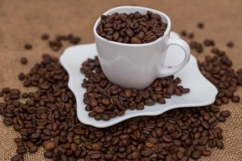 A scattering of coffee beans white cup and saucer Stock Photos