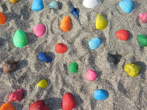 Scattering of colored shell in the sand Stock Photos