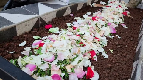 Scattering flowers on the grave Stock Footage 306049645