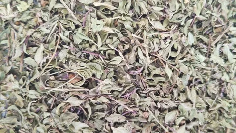 A scattering of fragrant thyme Stock Footage 167026257