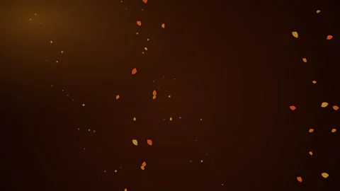 A scattering of glowing orange leaves floating in a deep dark background 스톡 동영상 338310551