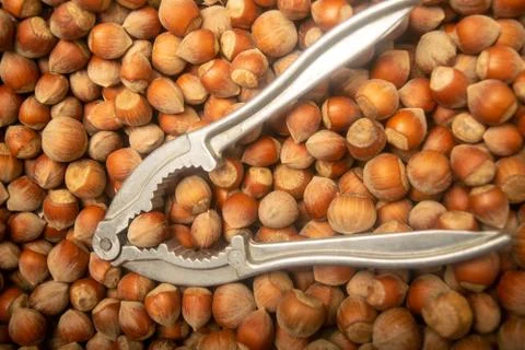A scattering of hazelnuts and a Nutcracker on the background of burlap with a Stock Photos