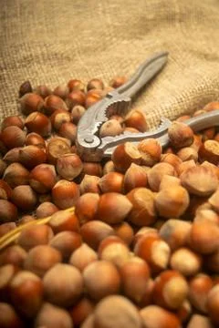A scattering of hazelnuts and a Nutcracker on the background of burlap with a Stock Photos