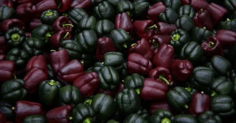 A scattering of peppers. Background with vegetables Stock Photos
