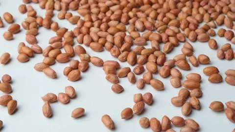 Scattering of raw whole dried peanut kernels on a white background close-up slow Stock Footage 305764172