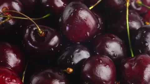 A scattering of ripe cherries with branches of shiny spinning in a circle Stock Footage 292820158