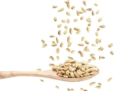 Scattering seed on spoon Foto stock