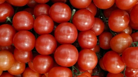 A scattering of small juicy red cherry tomatoes. Top-down view, real time, no pe Video stock 130011831