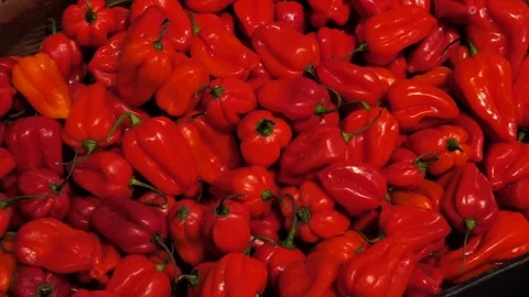 A scattering of small red peppers attracts attention Stock Footage 306179004