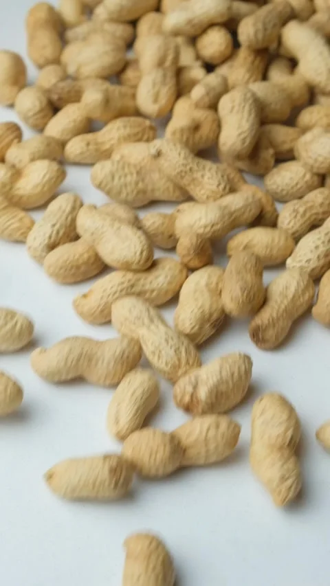 Scattering of unpeeled peanuts in shell on a white background close-up vertical Stock Footage 305764256