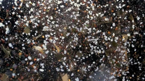 Scattering of various coarsely ground granulated spices on in macro Stock Footage 315233232