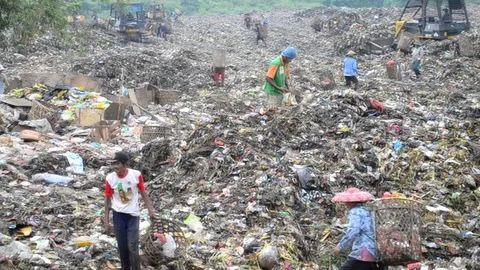 Scavenger and Trash Stock Footage 108100327