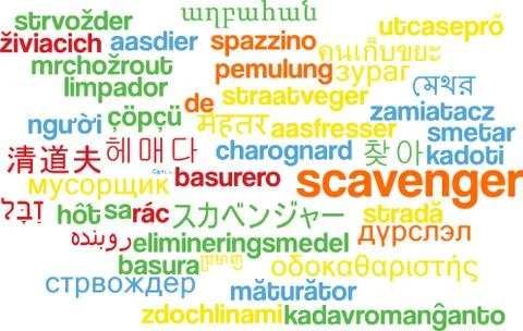Scavenger multilanguage wordcloud background concept Stock Illustration