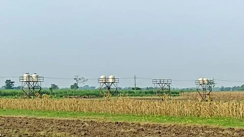 Sceanery Stock Photos