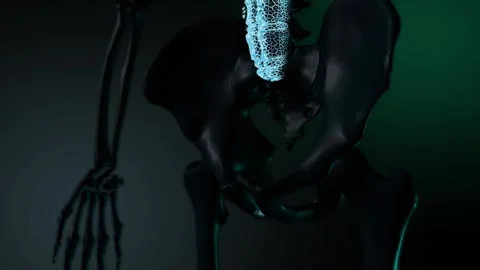 Sceleton. Abstract image. Scanning. Close-up. 스톡 동영상 249073735