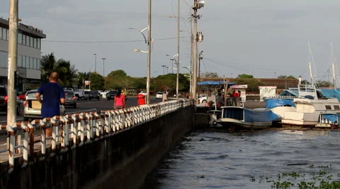 Scene of Amazon river Stock Footage 47074601