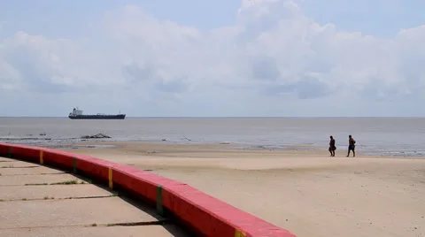 Scene of Amazon river Stock Footage 50224244