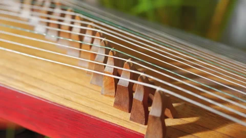The scene art, creative and performance with traditional musical stringed Stock Footage 333356202