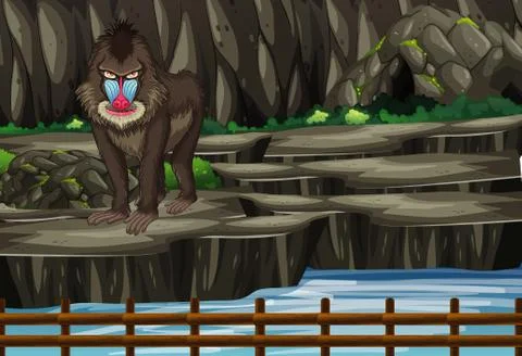 Scene with baboon in the zoo Ilustración de archivo