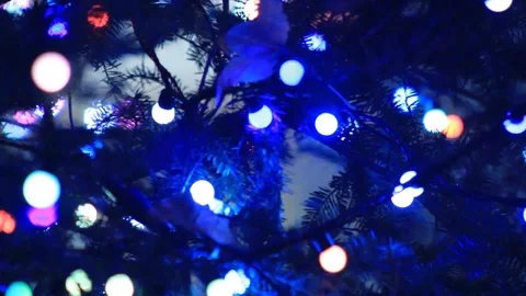 Scene of beautiful decorations - 2016 Stock Footage 89210526